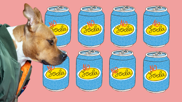Say No to Sodas For Your Dog